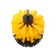 Nozzle for the Torso drill for cleaning disks of medium stiffness, 9 cm
