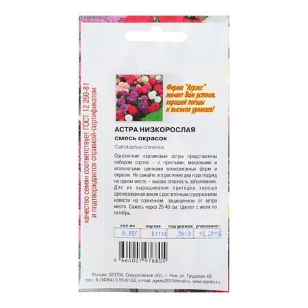 Astra flower seeds, mixture, stunted, 0.2-0.25 g-1
