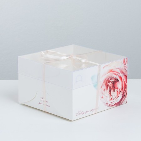 Capcake box, confectionery packaging, 4 cells “Age for Joy”, 16 x 16 x 10 cm