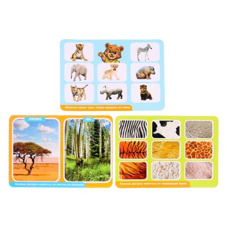 Developing Sorter Set “Study of Animals”, according to the Montessori Methodology-4