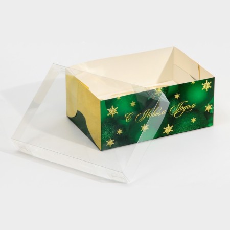 Green Participer Capcake box, 23 x 16 x 10 cm, New Year-3