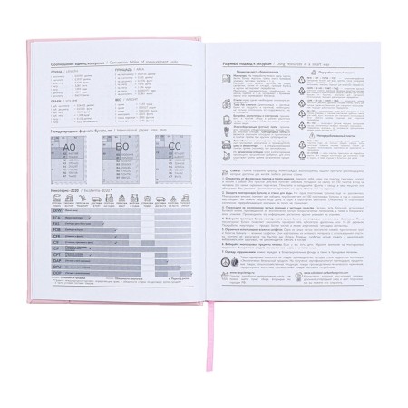 Dated 2025 diary, A5, 176 sheets of Escalada, a solid cover of artificial leather with foam rubber, pancake embossing, liesse, block 70 g/m2, pink-8