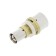 Club-Press transition Taen, 26 x 16 mm, connecting