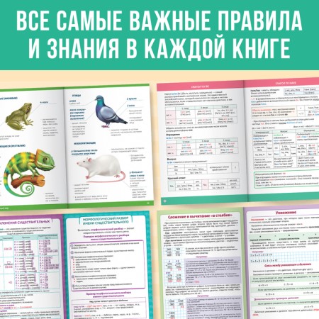 Set "Shopper Collections for Primary School", 4 books, 7+-4