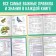 Set "Shopper Collections for Primary School", 4 books, 7+