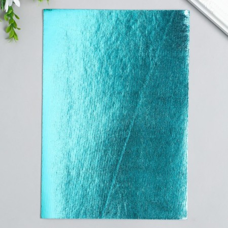 VETR "Blitz" 2.2 mm 20x28.5 cm ± 2 cm (set 5 pcs) Assorted No. 2-1