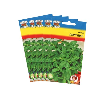 Peppermint seeds, set 5 pcs
