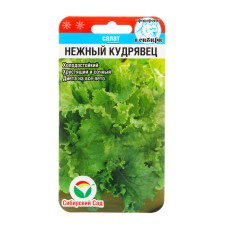 Семена Салат "Нежный кудрявец", 0,5 г