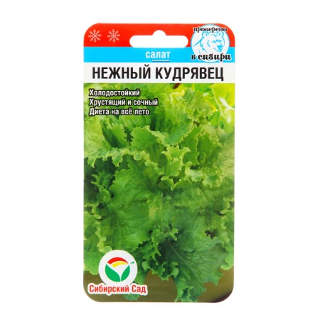 Salad Salad "Tender Kudryavets", 0.5 g