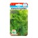 Salad Salad "Tender Kudryavets", 0.5 g