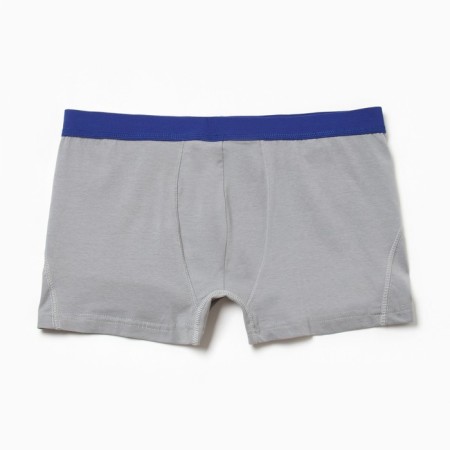 Panties men's boxers, gray color, size 54