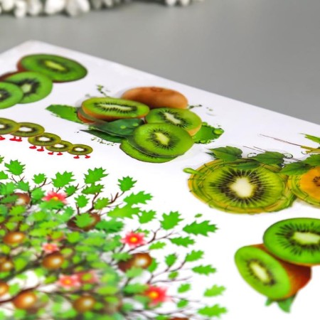 Plastic sticker multi -layer "crop" mix 44x25 cm-3