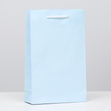 Laminated, blue, 26.5 x 16.5 x 7 cm package
