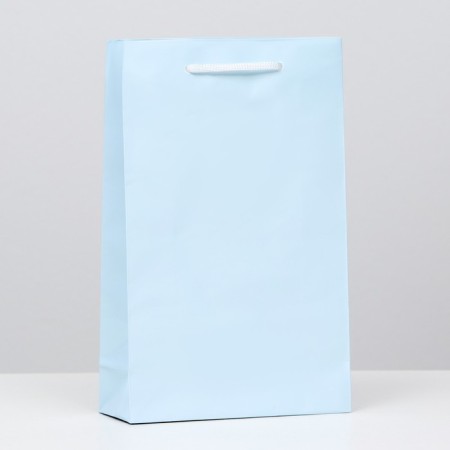 Laminated, blue, 26.5 x 16.5 x 7 cm package