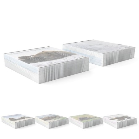 A notebook of 96 sheets in a cage, Erichkrause "Bears", glossy lamination, whiteness 100%, mix-8