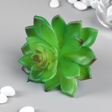 Artificial succulent for creating Florarium 