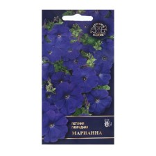 Seed Flower Petunia 