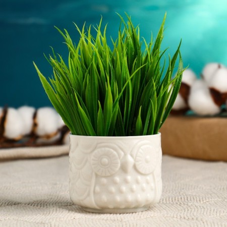 Filin pot of 6.5x6.5x5.5cm, mix-1