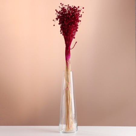 A set of dried flowers "Lenon-long", banch length 55-60 (+/- 6 cm), fuchsia