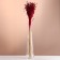 A set of dried flowers "Lenon-long", banch length 55-60 (+/- 6 cm), fuchsia