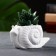 Figure Kashpo "Snail" 6x11x6cm