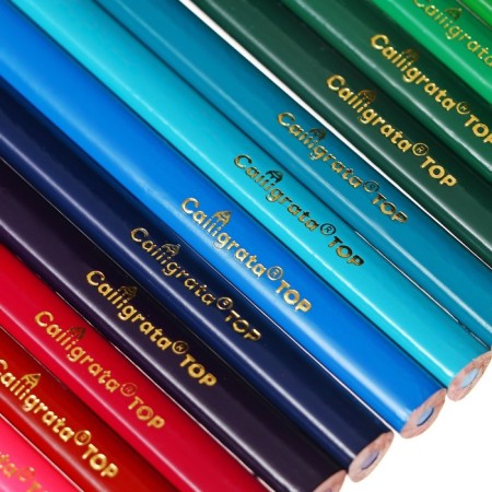 Pencils 24 colors TOP Calligrata, in a cardboard box, neck diameter - 3mm, 5b-5