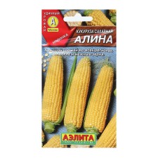 Sugar corn 