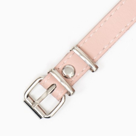 Plastic muzzle No. 3 with a collar of eco leather om 24 cm DN 8 cm Osh 39-52 cm-4