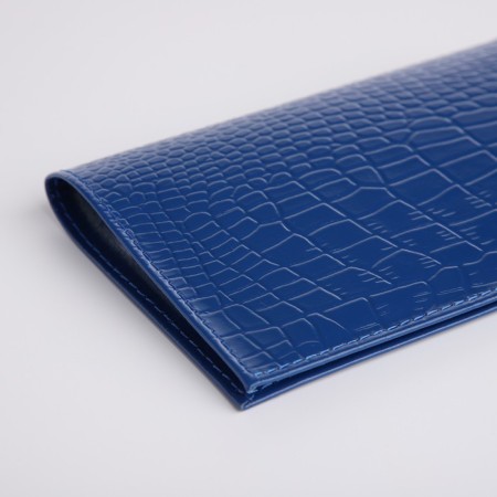 Cover for passport, blue color-3