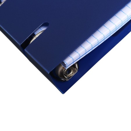 Notebook on rings A5 80 sheets in Calligrata cage blue, plastic cover, offset unit-4
