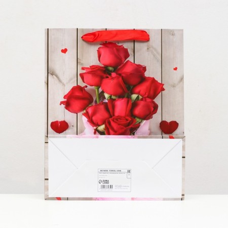 Laminated package, 26 x 32 x 12 cm-1
