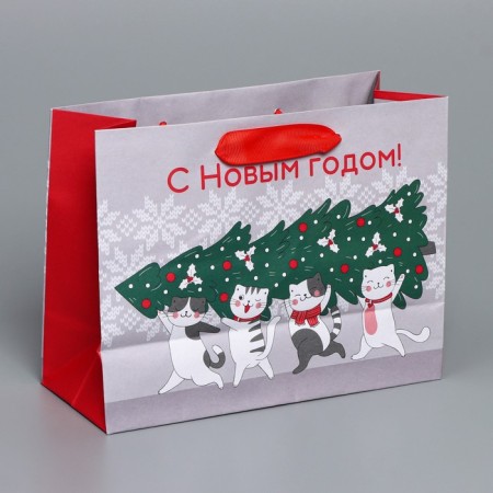 Craft horizontal package “I hurry to you”, MS 23 x 18 x 10 cm, New Year-3