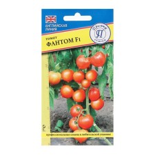 Seed Tomat 