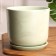 Flower Orion Green pot 5.4 l