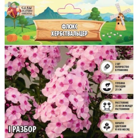 Flox "Herbstick" rr I, 2 pcs,-1