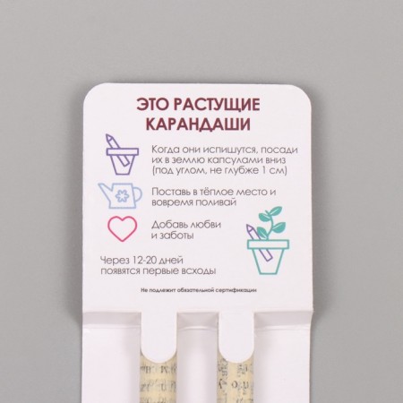 Growing gift pencils Mini "Lion Zev + Clove" set 2 pcs.-2