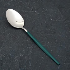Spoon of stainless steel magistro 