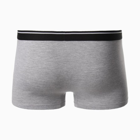 Panties men's boxers "lion", color gray melange, size 56-7