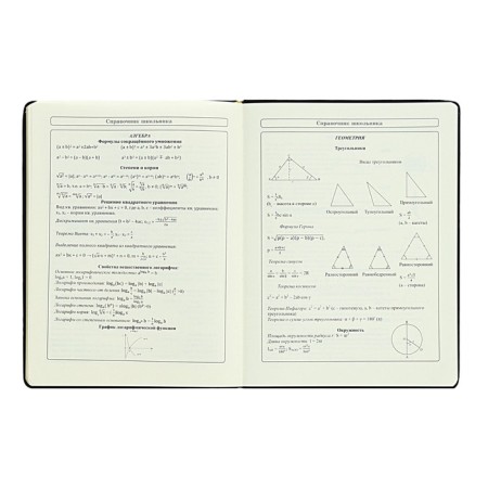 Diary 1-11 Grade "Kisul Vasily", artificial leather, foam, foil embossing, 48 sheets-11