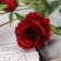Artificial flowers "Gloria de de" D-4 cm, red