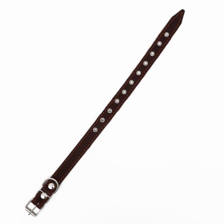 The collar is a single-layer leather, dimensionless, 56 x 2.5 cm, Osh 17-44 cm, brown-2