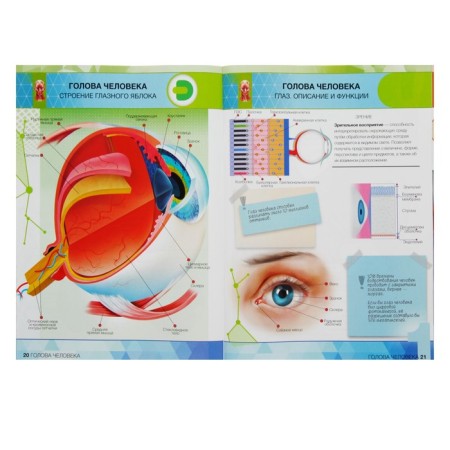 4D encyclopedia in augmented reality "Anatomy: Human organs"-2