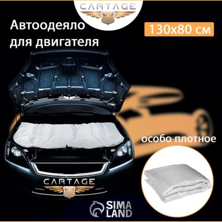 Authorized for the engine Cartage, 130 x 80 cm, especially dense-1