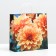 Package "Orange Chrysanthemum", soft plastic, 29 x 30 cm, 100 μm