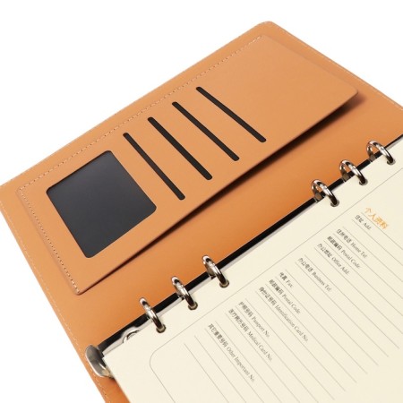 Organizer on the rings A5, 90 sheets in the ruler, with a stream, mix-29