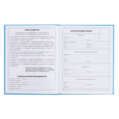 Diary for grades 5-11, 48 sheets of Kapibar Kapibarov, hard cover, glossy lamination, block 60 g/m2-4