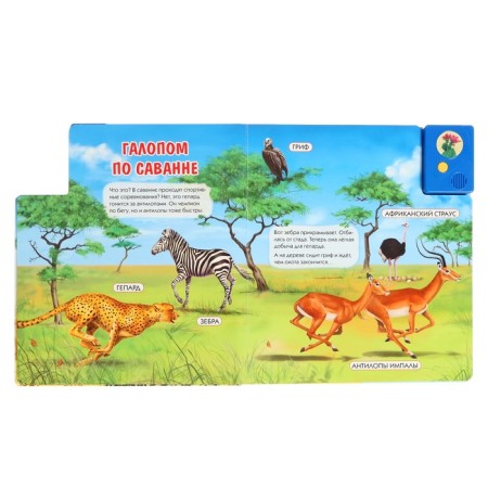 Musical book "Whose house is savannah and desert?", 3+-3