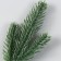 Decor for creativity "spruce spruce" Green 25.5 cm