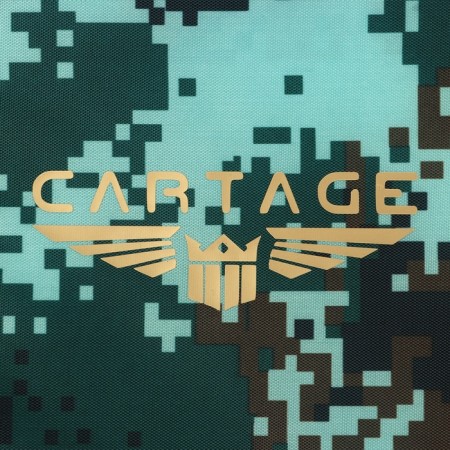 Cartage T-19 thermal drum, pixel camouflage, 10 l, 26x19x19 cm-13