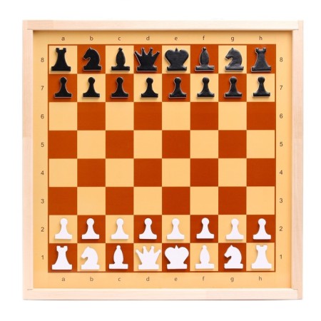 Demonstration magnetic chess (mini)-1
